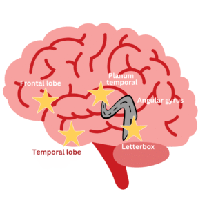 A Parent’s Comprehensive Guide to Reading Readiness: How to Develop Your Child’s Pre-Reading Brain